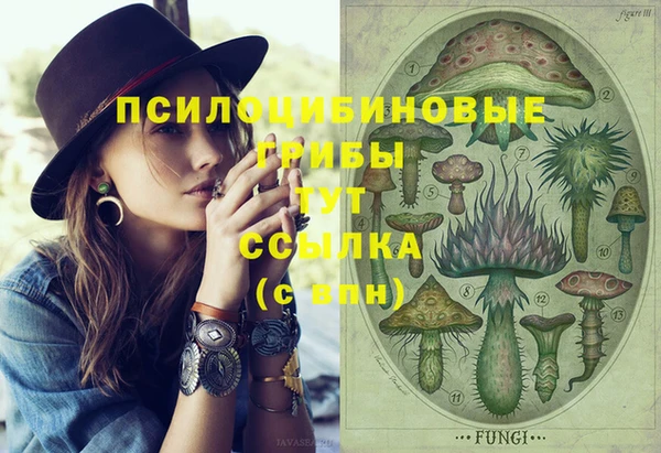 ГАЛЛЮЦИНОГЕННЫЕ ГРИБЫ Абдулино