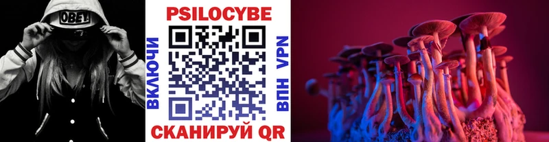 Галлюциногенные грибы Cubensis  где купить наркотик  Абаза 