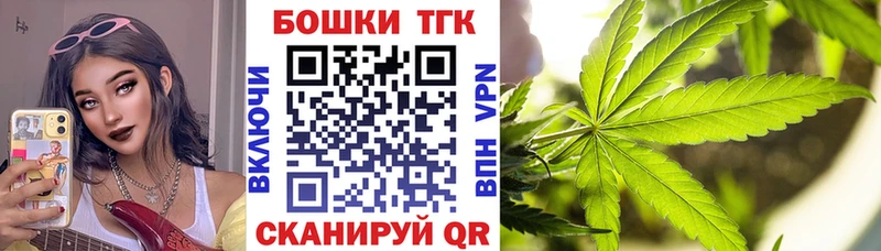 Конопля ГИДРОПОН  купить наркотик  Абаза 